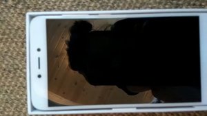 Не работает подсветка экрана