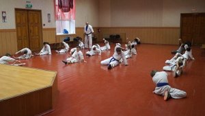Онлайн видео урок занятий по карате (каратэ) "Разминка + растяжка"