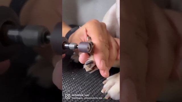 Nail Care Services ?❤️ смотреть онлайн