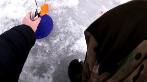 Ловля щуки зимой на жерлицы