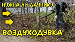 Нужна ли на даче ВОЗДУХОДУВКА и какую воздуходувку купить
