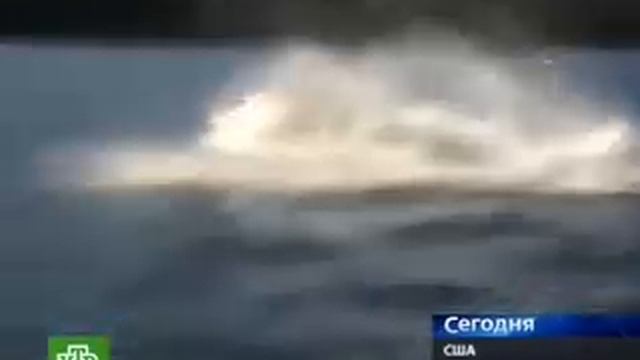 Механический дельфин смотреть онлайн