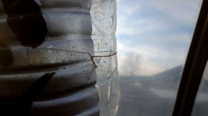 Пугало Крик Сборка и испытание 2022