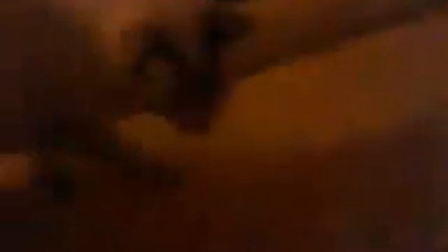 Кошка делает прыжок