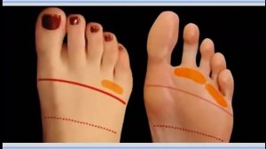 Проекция внутренних органов на стопе