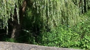 ЛОВЛЯ НА ПЕНОПЛАСТ