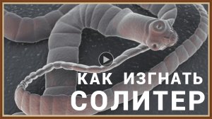 КАК ИЗГНАТЬ СОЛИТЕР ИЗ ОРГАНИЗМА ЧЕЛОВЕКА.mp4