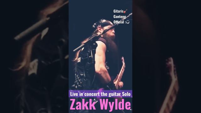 Zakk Wylde 🎸 Live in concert the Guitar Solo