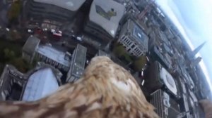 Невероятная съемка полета орла над Лондоном