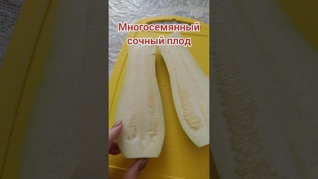 Плод тыквина смотреть онлайн
