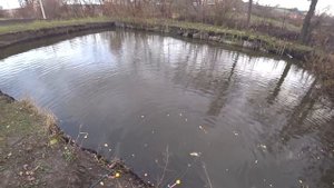 РЫБАЛКА в СОБСТВЕННОМ ПРУДУ !