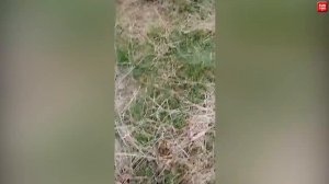 Приколы с алкашами. Алкаши танцуют. Пьяные разборки. Смешные бомжи..mp4