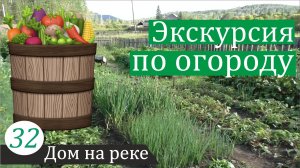 Что растёт на моём огороде? Дом на реке, часть 32