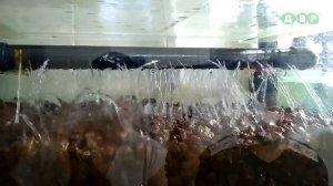 Аквариум 2000 литров, плюс стеллаж и обновленная фильтрация!