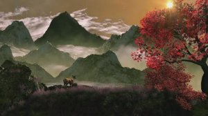 Музыка для полного расслабления, откройте для себя выбор оазиса спокойствия!