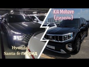 Авто из Кореи Hyundai Santa fe 1,6 гибрид и Kia Mohave 3л. дизель