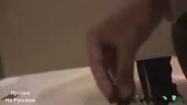 Смешные пранки в туалете смотреть онлайн