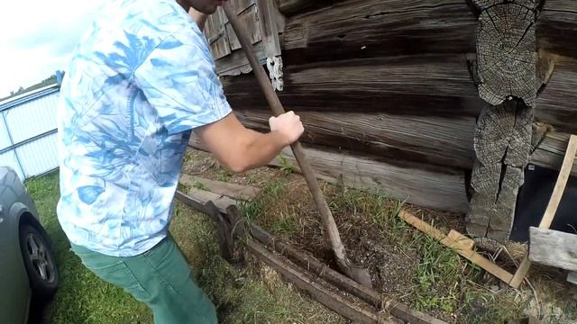 Как избавиться от муравьев на даче. Что внутри муравейника смотреть онлайн