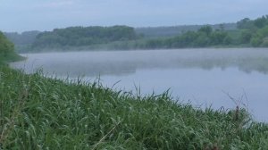 Когда ловится карась на Дону главное успеть найти и занять место. Карась на донки.