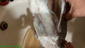 ГОЛОВА ТРОФЕЙНОЙ ЩУКИ НА СТЕНУ СВОИМИ РУКАМИ.   TROPHY PIKE HEAD ON THE WALL.