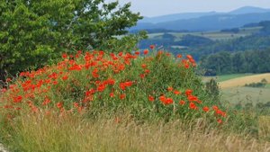 КАК ЗАСТАВИТЬ РЕБЁНКА ДЕЛАТЬ УРОКИ