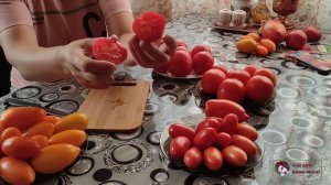 Дегустация томатов. Первоклашка. Джек Пот. Русские колокола. Видимо-невидимо.