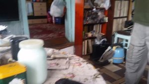 Не растут мои огурцы под фитолампами