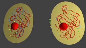 Interphase 4 animation