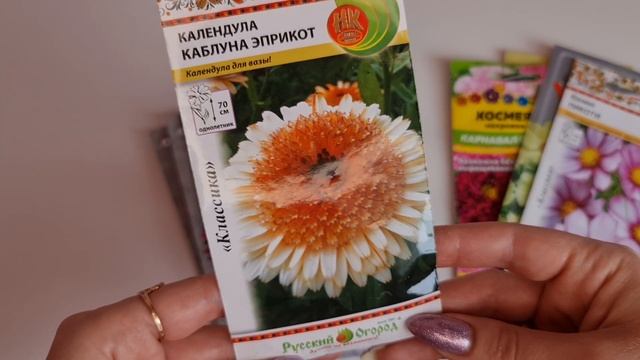 БЕЗ РАССАДЫ! ЛУЧШИЕ ОДНОЛЕТНИКИ для СРЕЗКИ! Ухода НЕ ТРЕБУЮТ, цветут ДО ЗАМОРОЗКОВ! смотреть онлайн