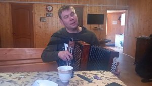 Гармонист Андрей Никулин