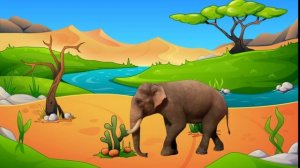 факты про слонов