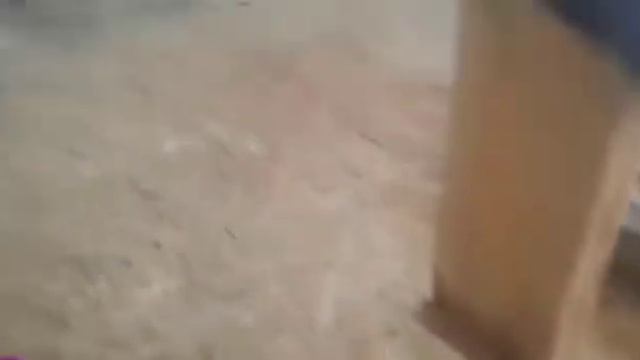 Работа контроллера автоматической подсветки лестницы, видео от клиента