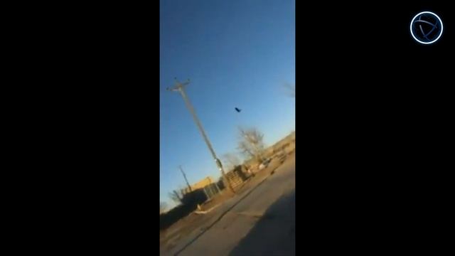 Два случая с зависшей в небе птицей, прославившейся как «Глюк в Матрице» смотреть онлайн