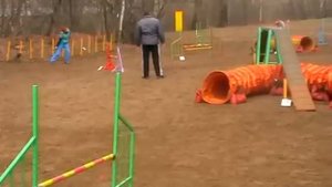 Аджилити ксоло Ежа. НКП