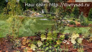 Водопад с прудом и альпийской горкой.