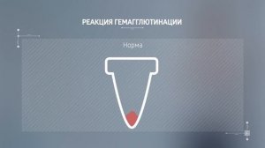 3.1. Методы диагностики вирусных инфекций.mp4