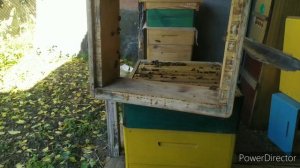 Альпийский улей. Сборка в зиму