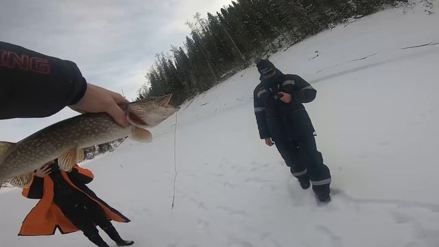 РЫБАЛКА В ДИКИХ МЕСТАХ НА АЭРОЛОДКЕ !! ВОЛКИ УСТРОИЛИ БОЙНЮ смотреть онлайн