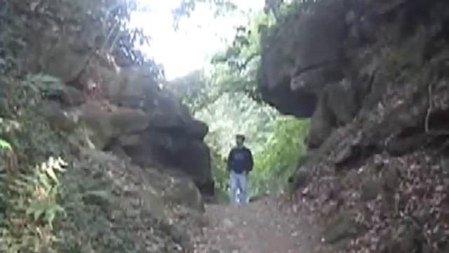 California Dreamin' (Mamas & Papas ukulele and flute cover) смотреть онлайн