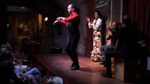 Flamenco show in Barcelona | Palau Dalmases