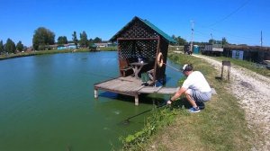 Два 100% способа поймать карпа летом | Ловим карпа в ЗАО "Гжелка"