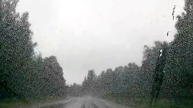 гидрофобный эффект
