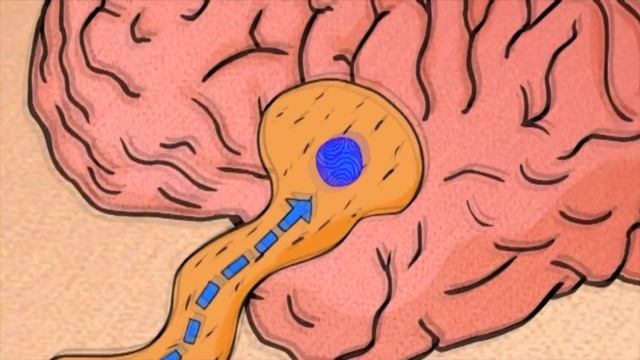 Нюх. Як людина відчуває запах? смотреть онлайн