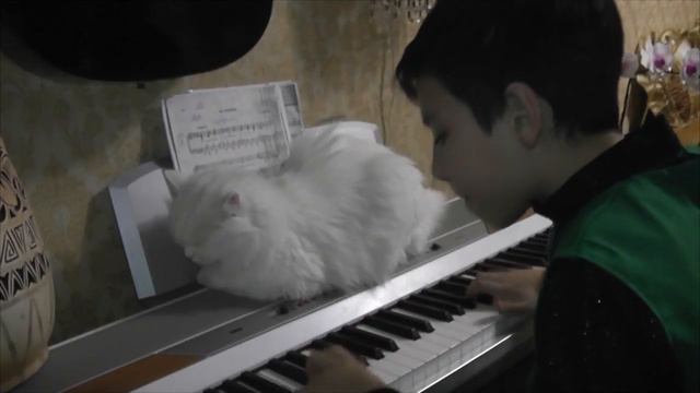 Бах 