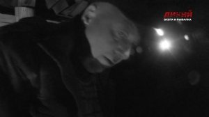 Лось на реву. Калужская область. Своя охота.