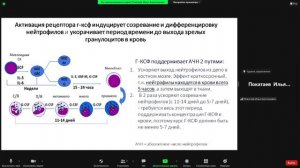 Профилактика нейтропении — залог успешного лечения Покатаев И.А.