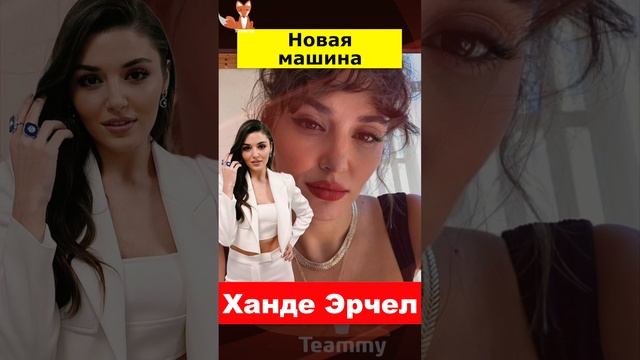 Ханде Эрчел порадовала себя новои игрушкой