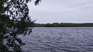 Пикничок. Чайное озеро и Хепоярви. Лен. область