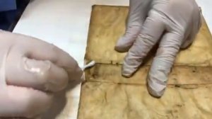 Работа по очистке пергамента.