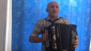 Полынь трава. Песни на гармони